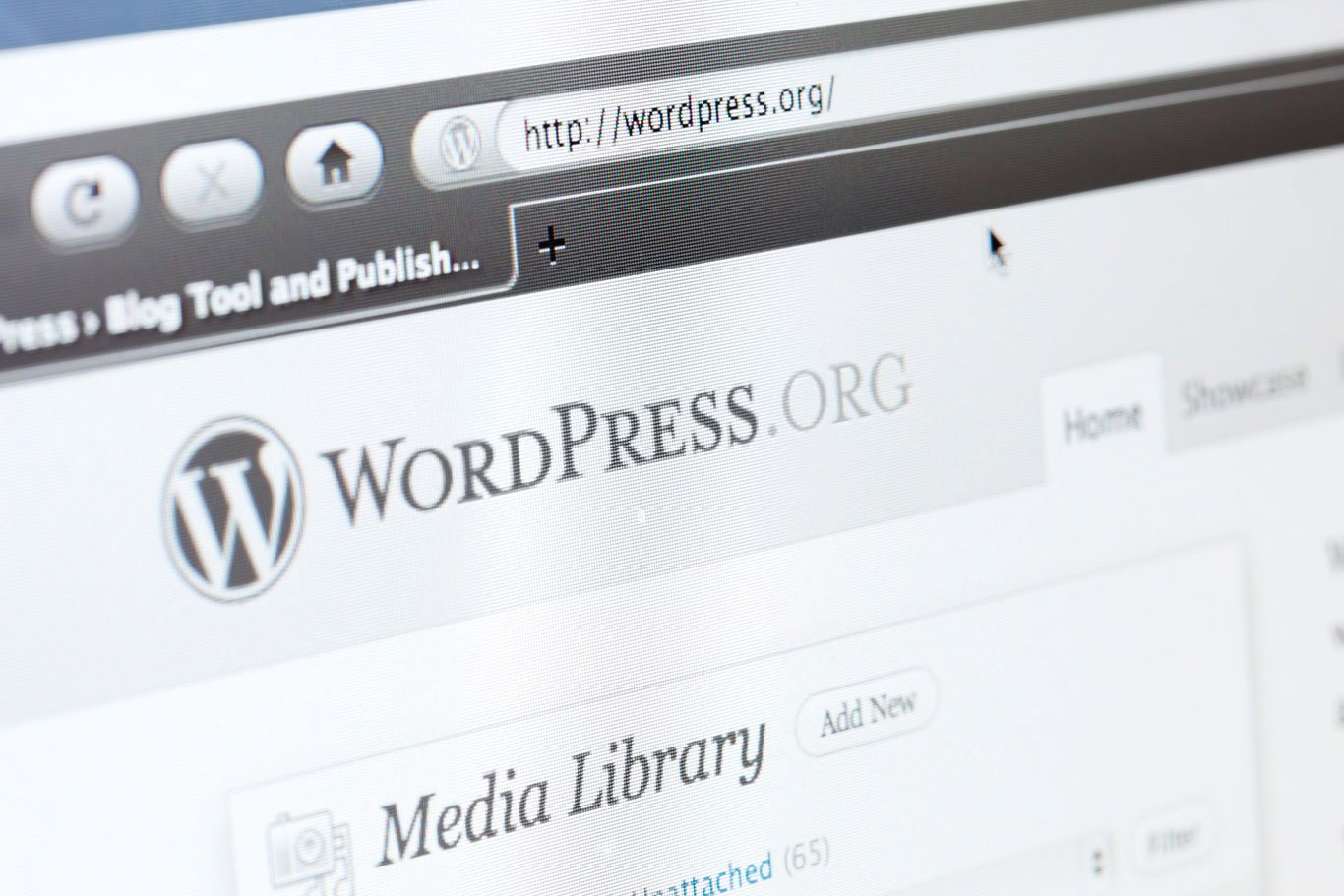 bespoke wordpress website